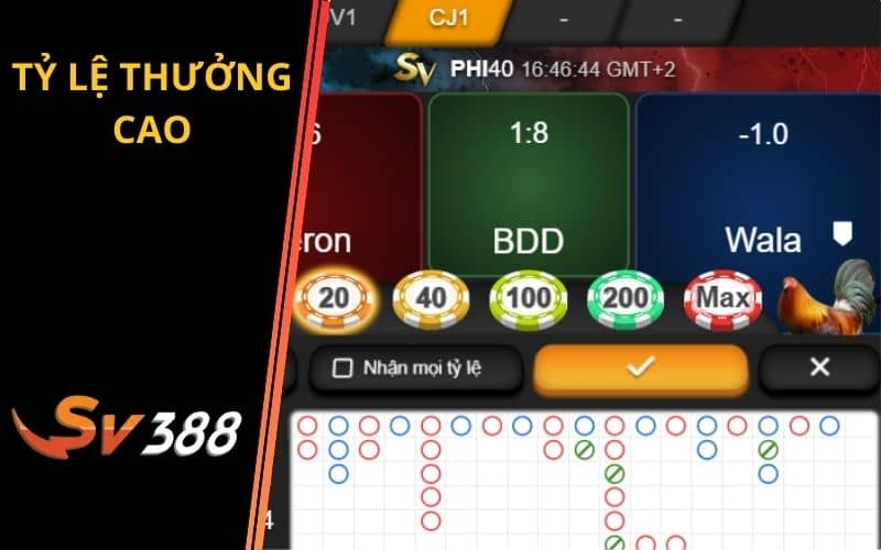 Đá gà SV388 mang đến tỷ lệ ăn thưởng cao Đá gà SV388 mang đến tỷ lệ ăn thưởng cao