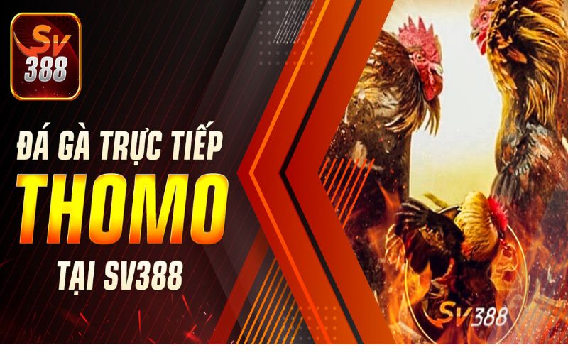 giấy phép hoạt động SV388 là tiêu chí để xây dựng tên tuổi giấy phép hoạt động SV388 là tiêu chí để xây dựng tên tuổi