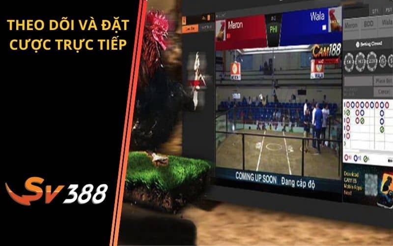 Vừa đặt cược và theo dõi trận đấu trực tiếp Vừa đặt cược và theo dõi trận đấu trực tiếp