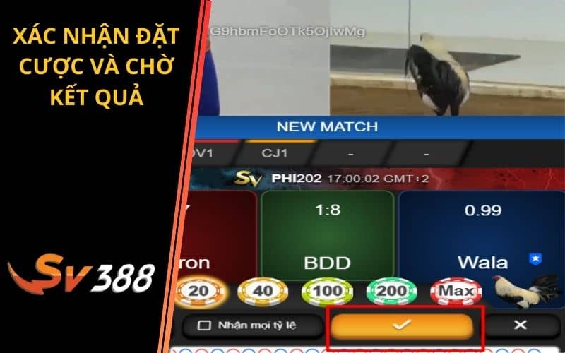 Xác nhận đặt cược và chờ đợi kết quả Xác nhận đặt cược và chờ đợi kết quả