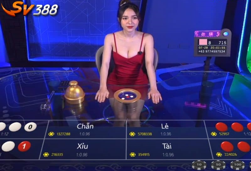Xóc đĩa với tỷ lệ thắng cược cao khi chơi tại Casino SV388 Xóc đĩa với tỷ lệ thắng cược cao khi chơi tại Casino SV388