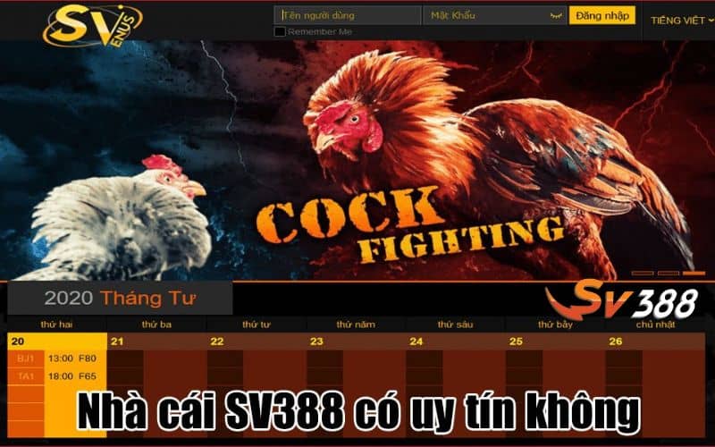SV388 hoàn toàn uy tín và luôn đảm bảo quyền lợi người chơi SV388 hoàn toàn uy tín và luôn đảm bảo quyền lợi người chơi