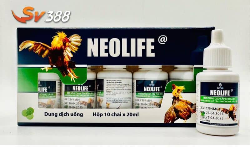 Bổ sung các vitamin và men tiêu hóa vào cách nuôi gà đá bo lớn Bổ sung các vitamin và men tiêu hóa vào cách nuôi gà đá bo lớn