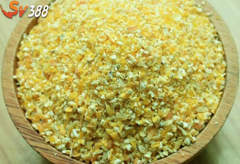 Khi chăm sóc gà bị cựa nên cho ăn thức ăn mềm như cám loãng Khi chăm sóc gà bị cựa nên cho ăn thức ăn mềm như cám loãng