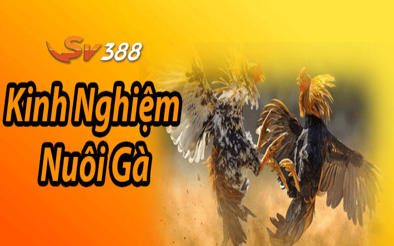 Lựa chọn nguồn thông tin có độ chính xác cao Lựa chọn nguồn thông tin có độ chính xác cao