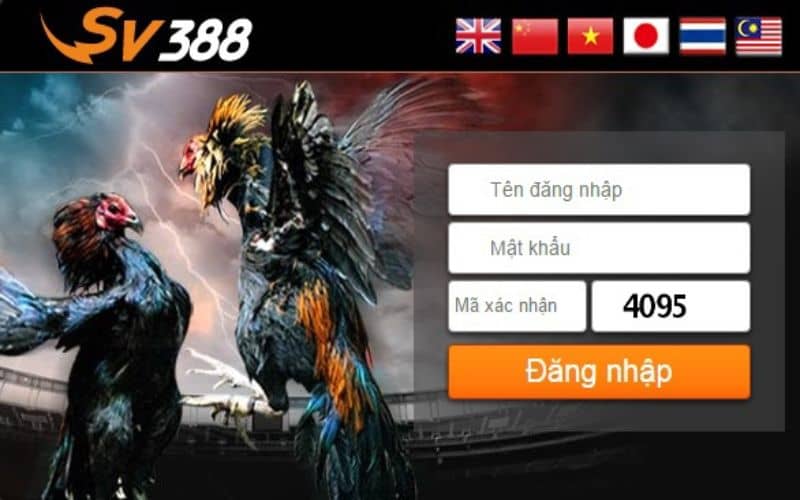 Nguyên nhân xuất hiện tin đồn SV388 lừa đảo Nguyên nhân xuất hiện tin đồn SV388 lừa đảo