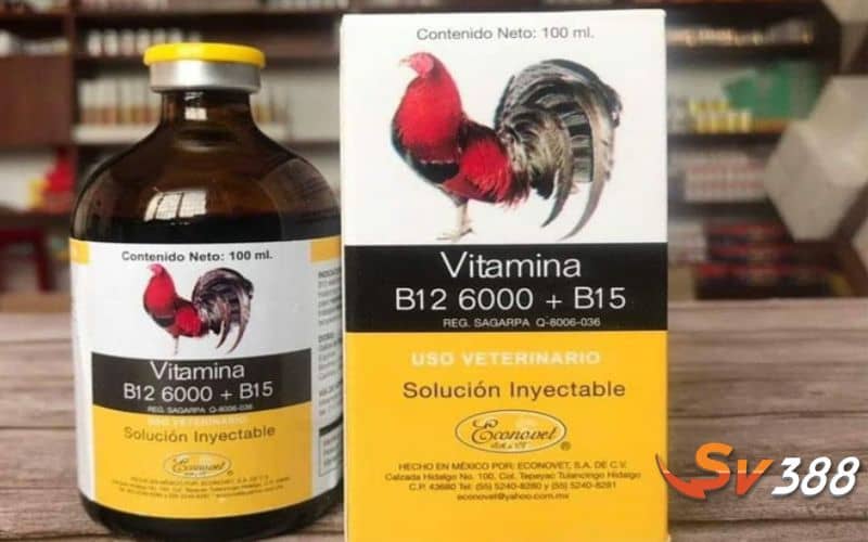 Phòng bệnh cho gà đá cựa sắt và bổ sung thêm các loại thuốc Phòng bệnh cho gà đá cựa sắt và bổ sung thêm các loại thuốc