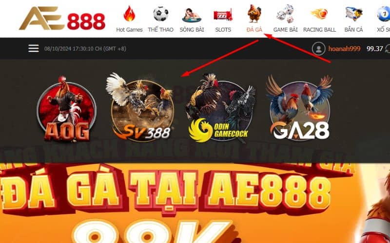 Chọn đá gà và chọn sảnh SV388 Chọn đá gà và chọn sảnh SV388